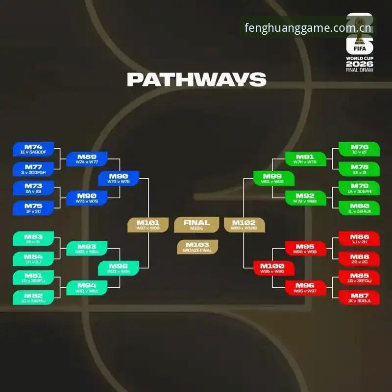 FHTY体育视频直播平台：世界杯观赛签证风波深度解析与观赛准备指南